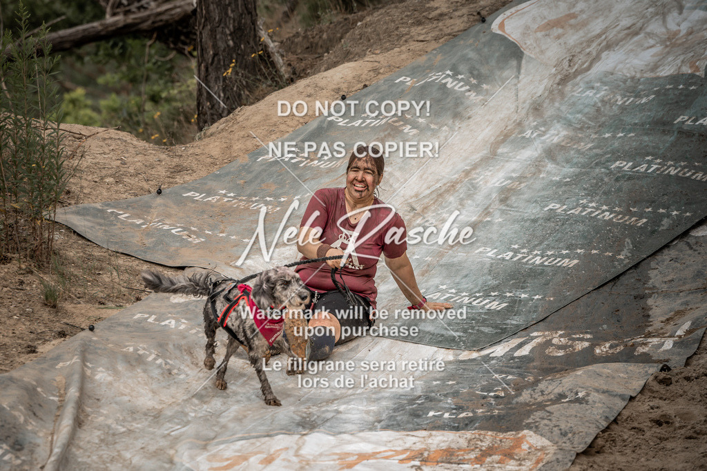 nelerasche_sa1200-1230_118 | nelerasche