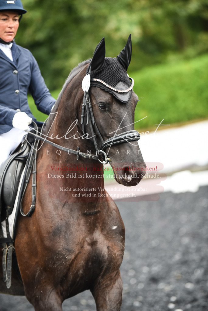 DSC_2792 | Pferde- und Turnierfotografie in Westsachsen. Pferdeportraits, Auftragszeichnungen und intuitive Kunst.