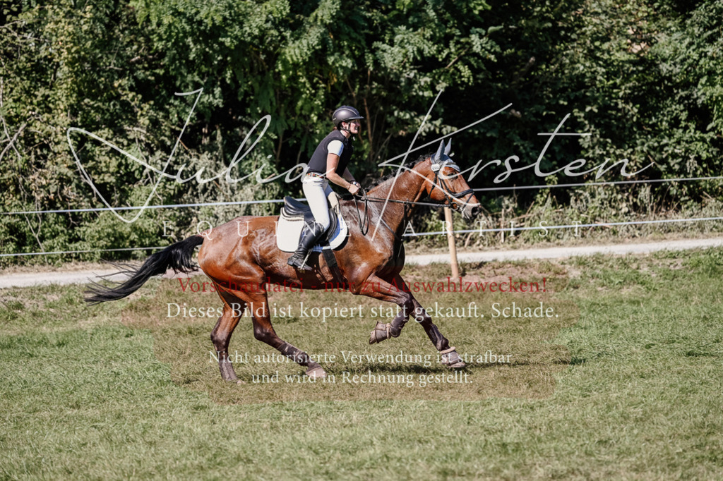 DSC_2701 | Pferde- und Turnierfotografie in Westsachsen. Pferdeportraits, Auftragszeichnungen und intuitive Kunst.