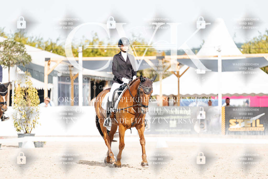 CK905120 | Turnierfotografie Pferdefotografie Trier Rheinland-Pfalz Pferdesport Reitsport Tierfotografie Sportfotografie Pferdevideo Pferdevideografie Equestrianvideography equestrianphotography  - Realisiert mit Pictrs.com