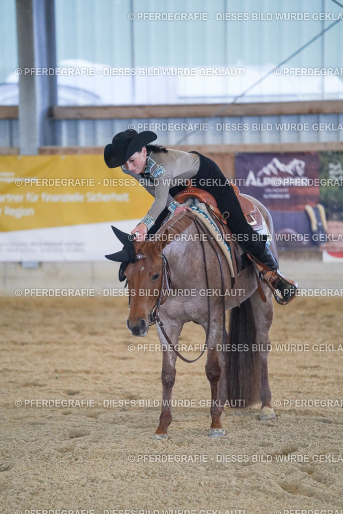 DSC09134 | Pferdegrafie