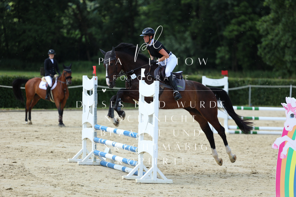 IMGM4428 | pl-fotografie