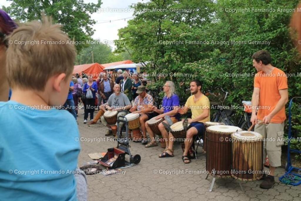 IMG_5045 | aragon-pics - Realisiert mit Pictrs.com