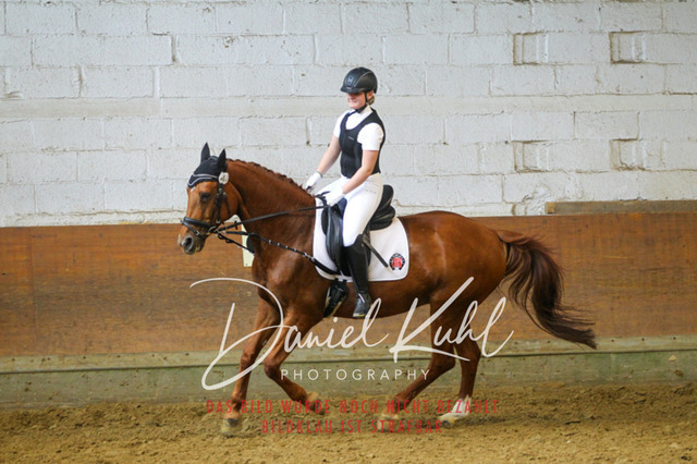 DKP43933 | Turniersportfotografie; Pferdefotografie; Dressurfotografie