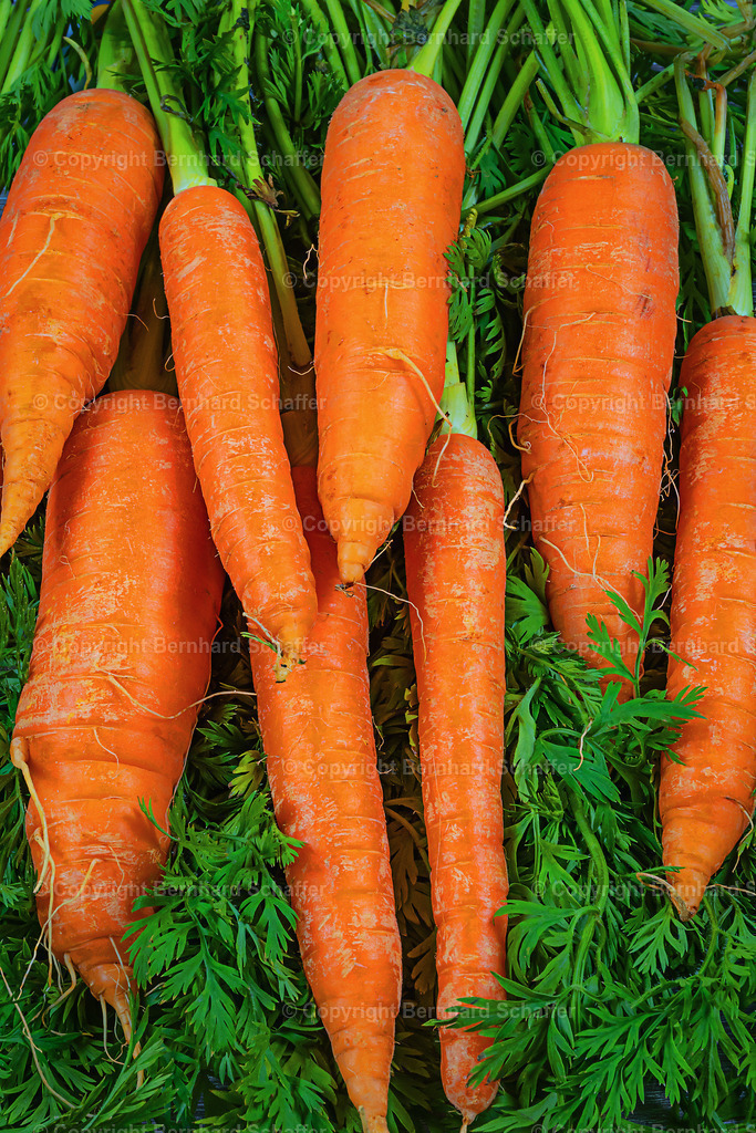 Karotten auf Grün | Mehrere rohe Karotten mit Grün liegen nebeneinander. - Realisiert mit Pictrs.com