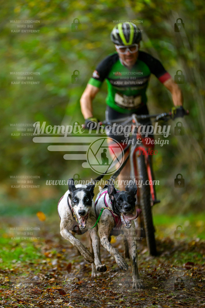 MompixPhotography_20TSB_E1_DS2-3 | PayLife