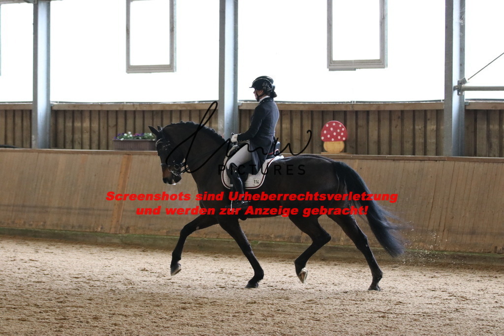 IMG_0950 | lmwpictures - Realisiert mit Pictrs.com