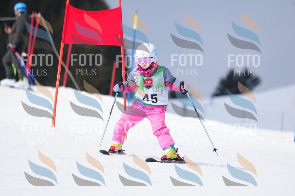 A3540 | holidayphoto