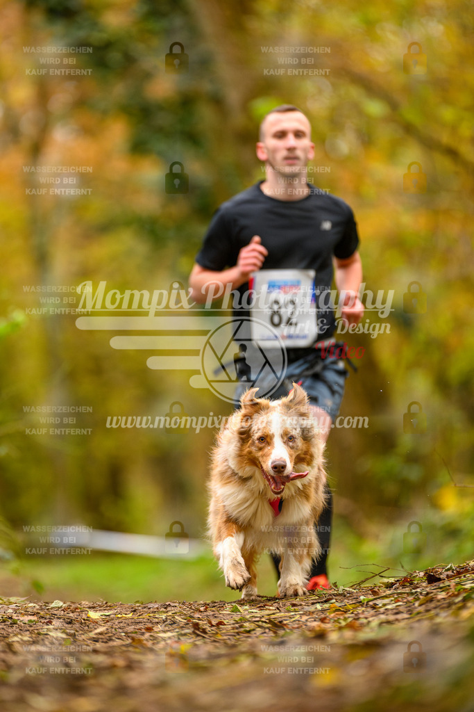 MompixPhotography_Bischwiller24_SA_Canicross-119 | PayLife