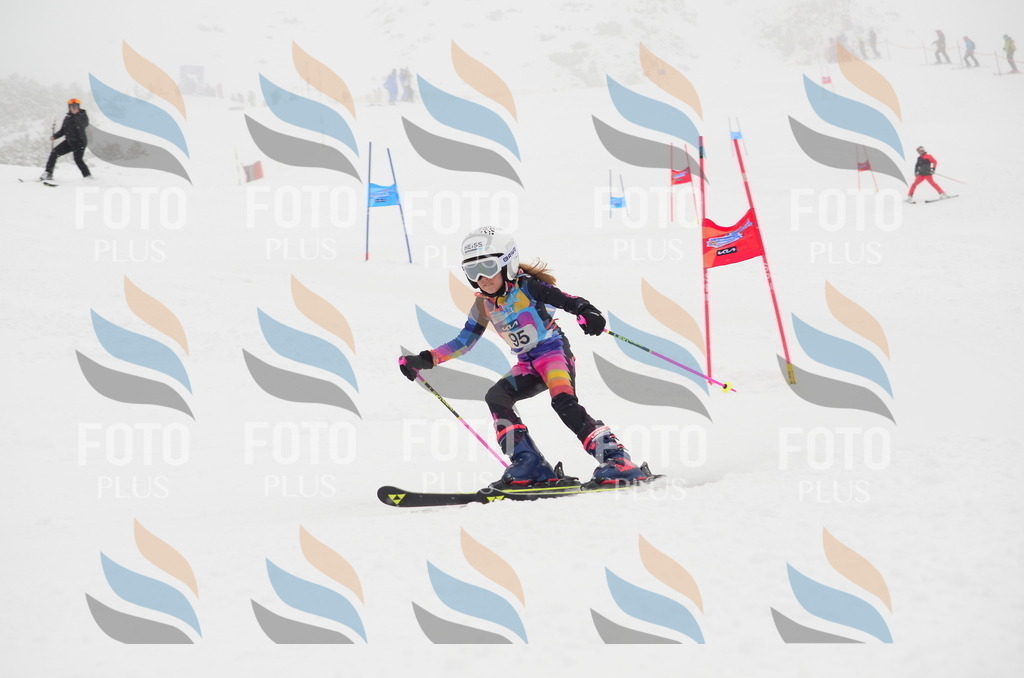 C1338 | holidayphoto