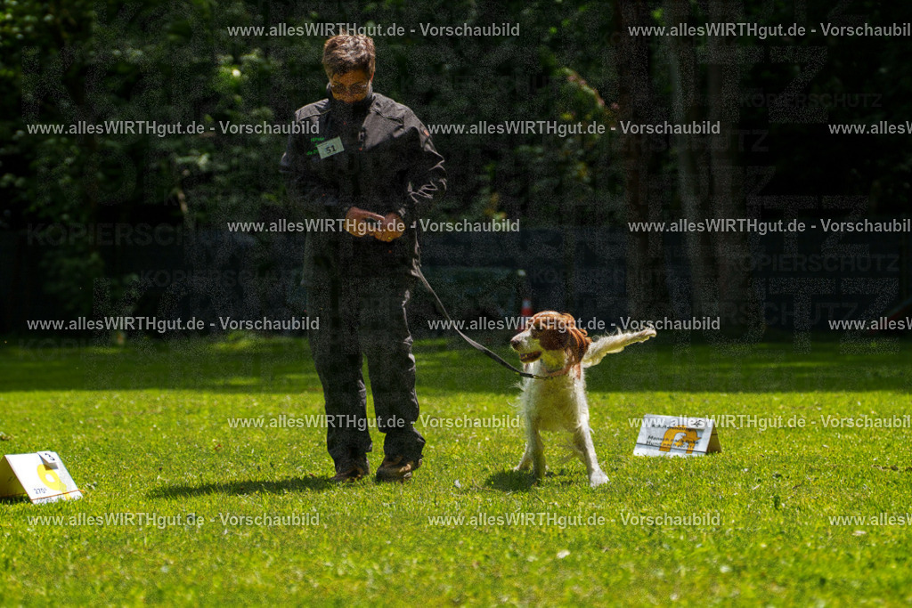 @allesWIRTHgut_Tierfotografie - www.allesWIRTHgut.de - 7R505756 | Professionelle Tierfotografie in Mönchengladbach von Daniel Wirth (allesWIRTHgut). Liebevolle & natürliche Bilder von Hunden & Katzen für unvergessliche Erinnerungen.
