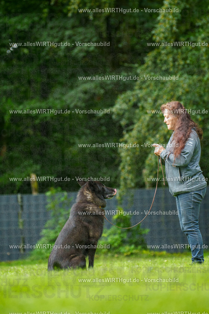 @allesWIRTHgut_Tierfotografie - www.allesWIRTHgut.de - 135437-7R500167 | Professionelle Tierfotografie in Mönchengladbach von Daniel Wirth (allesWIRTHgut). Liebevolle & natürliche Bilder von Hunden & Katzen für unvergessliche Erinnerungen.