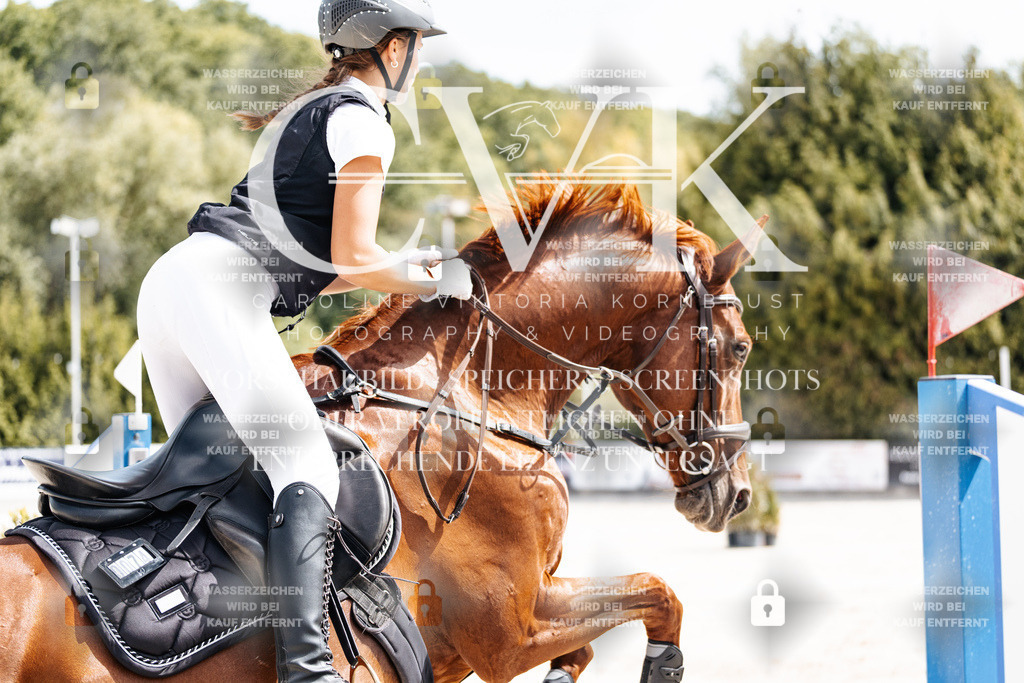 CK906360 | Turnierfotografie Pferdefotografie Trier Rheinland-Pfalz Pferdesport Reitsport Tierfotografie Sportfotografie Pferdevideo Pferdevideografie Equestrianvideography equestrianphotography  - Realisiert mit Pictrs.com