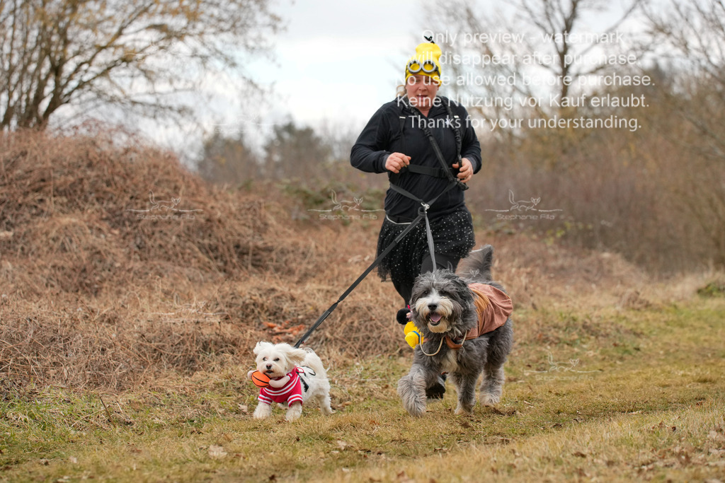 2Fasching-2 | stephaniefillaphotographie - Realisiert mit Pictrs.com