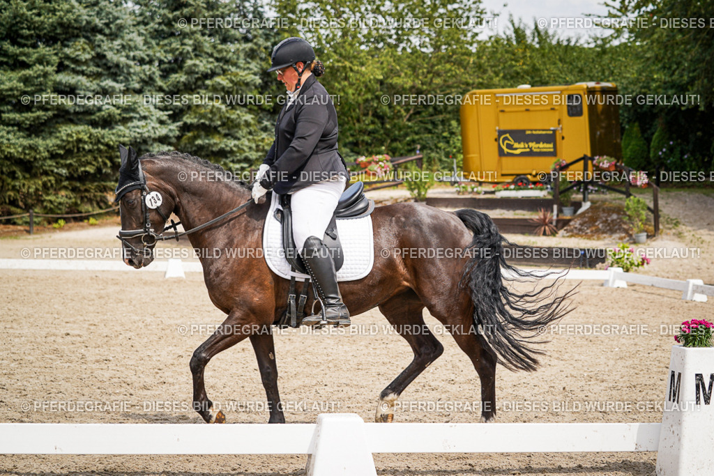 DSC04669 | Pferdegrafie