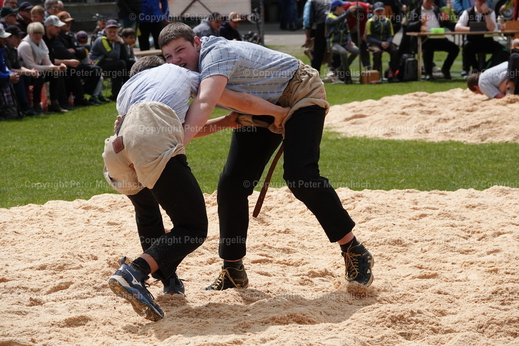 DSC03132 | Schwingen - Realisiert mit Pictrs.com