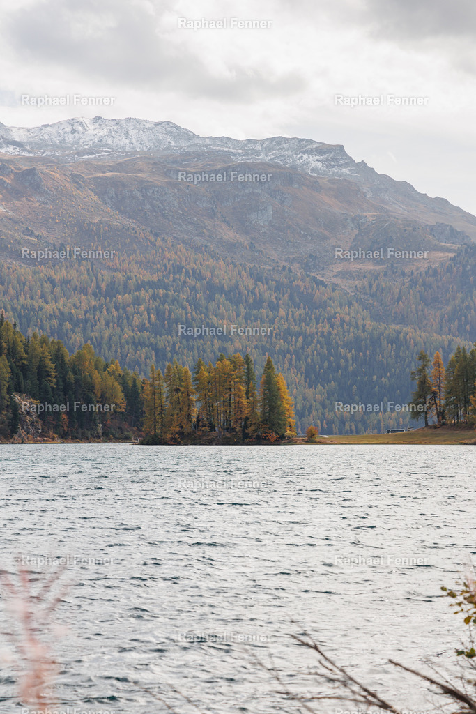 IMG_9511 | Erlebe eindrucksvolle Landschaftsfotografie aus dem Engadin und darüber hinaus. Raphael Fenner bietet zudem professionelle Fotoaufträge für Hochzeiten, Porträts und Unternehmen. Jetzt entdecken und inspirieren lassen!
