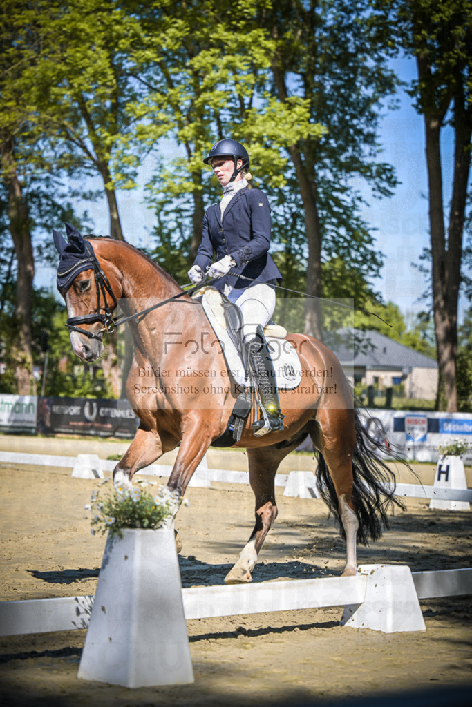 DOS_5857 | Entdecke hochwertige Reitturnierfotos von Foto Oger. Professionell, emotional und authentisch – jetzt Lieblingsmomente im Shop bestellen.Deutschlandweite Turnierfotografie. - Realisiert mit Pictrs.com