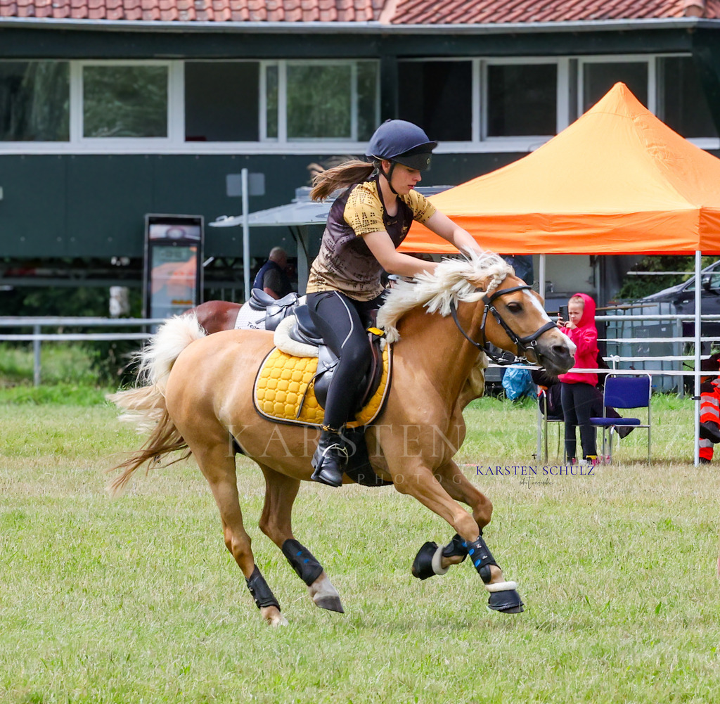 1B3A1727 | Reitsport Reiten