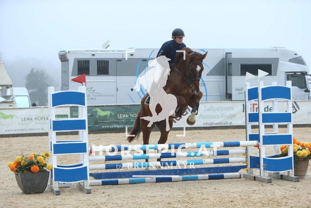 DL2Q8431 | Willkommen bei Brunnmayr - Design & Fotografie – Ihrem Spezialisten für Reitturniere und Pferdeveranstaltungen in Oberösterreich, Salzburg und Bayern! Seit über 17 Jahren sind wir leidenschaftlich dabei.