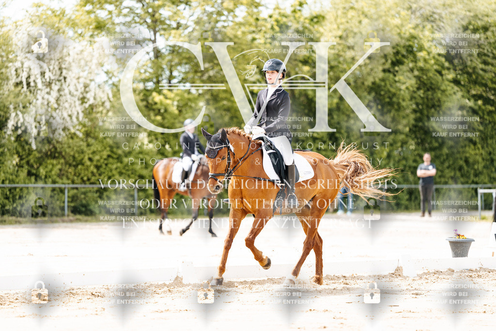 CK901701 | Turnierfotografie Pferdefotografie Trier Rheinland-Pfalz Pferdesport Reitsport Tierfotografie Sportfotografie Pferdevideo Pferdevideografie Equestrianvideography equestrianphotography  - Realisiert mit Pictrs.com