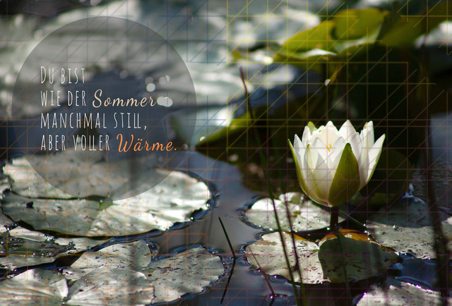 Juli_Seerose | Schöne Postkarten, Kalender und Fotogeschenke für verschiedene Anlässe online kaufen – Urlaubskarten, Geburtstagskarten, Karten, Polaroids und Geschenke zu Weihnachten, Ostern, Muttertag, Valentinstag oder zur Hochzeit - Realisiert mit Pictrs.com