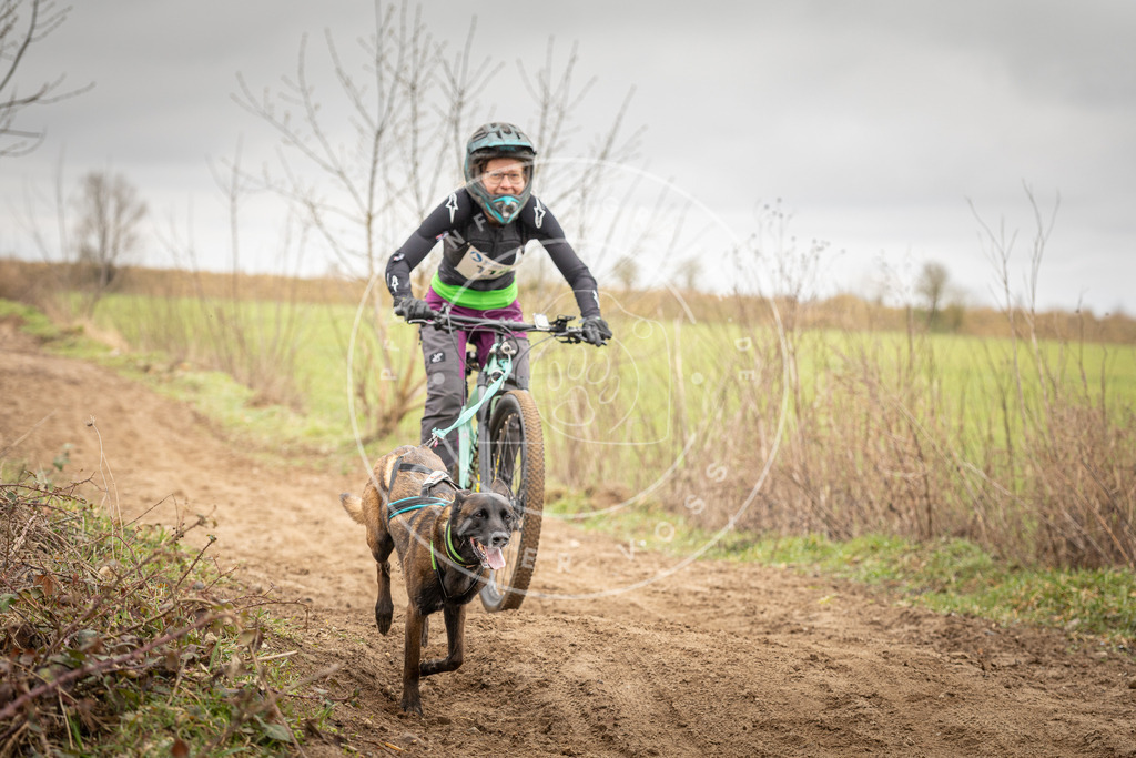 DV3A0871 | Hundefotografie, Tierfotograf, Pfotenfotografie, Fotoshooting Hund, Hunde Portrait, Hundesport, Hundeportraits, Heideshooting, Hunde, Sportfotograf, Hundefotograf, Turnierhundsport, THS,  - Realisiert mit Pictrs.com