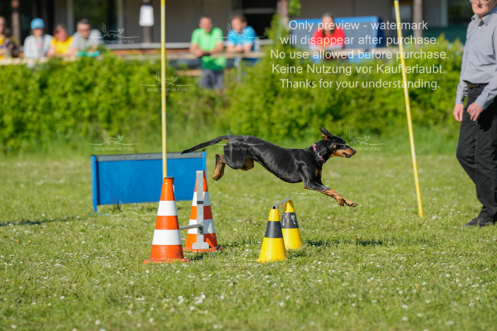 Sa_CSC-422 | stephaniefillaphotographie - Realisiert mit Pictrs.com