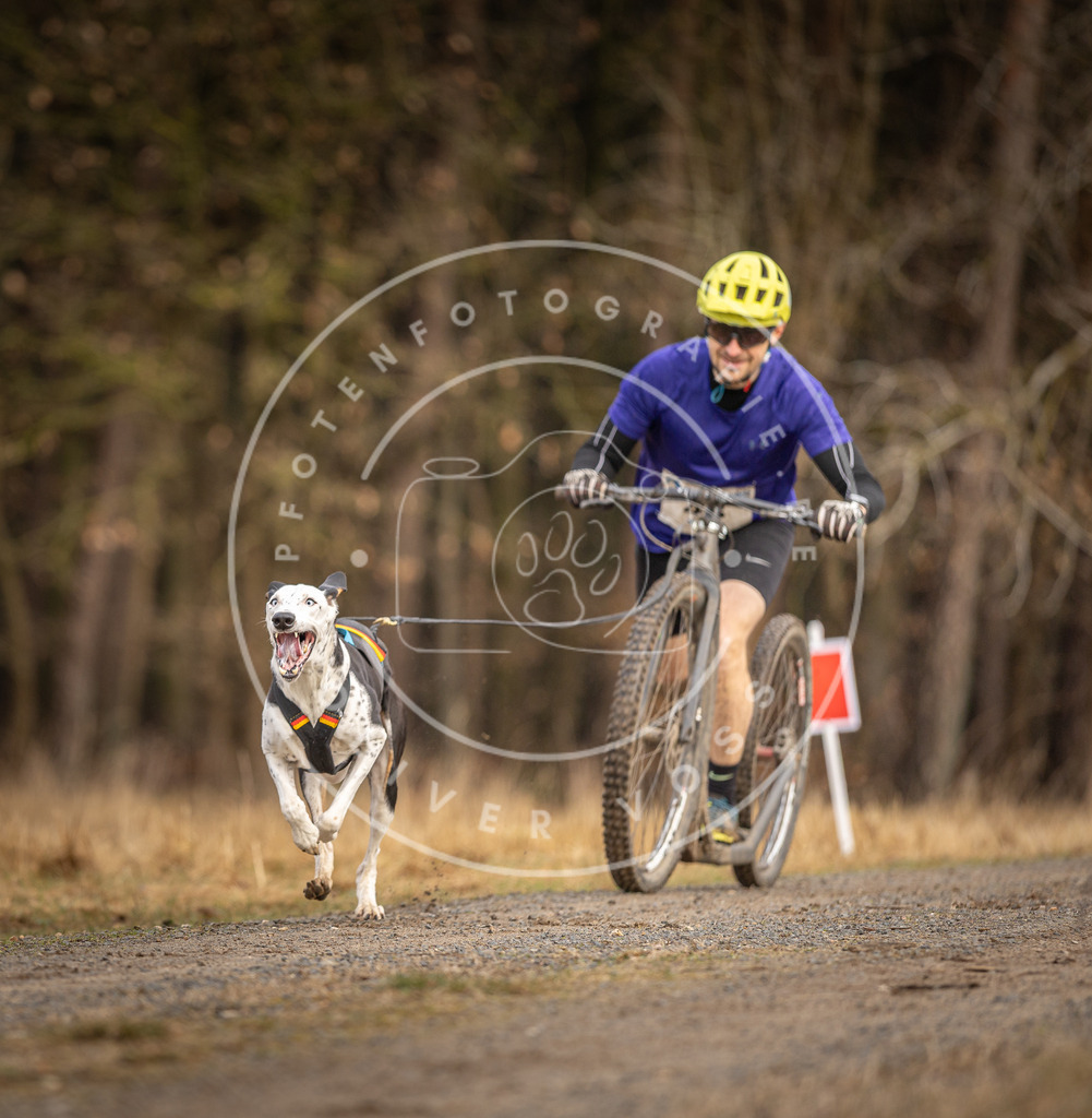 DV3A3413 | Hundefotografie, Tierfotograf, Pfotenfotografie, Fotoshooting Hund, Hunde Portrait, Hundesport, Hundeportraits, Heideshooting, Hunde, Sportfotograf, Hundefotograf, Turnierhundsport, THS,  - Realisiert mit Pictrs.com