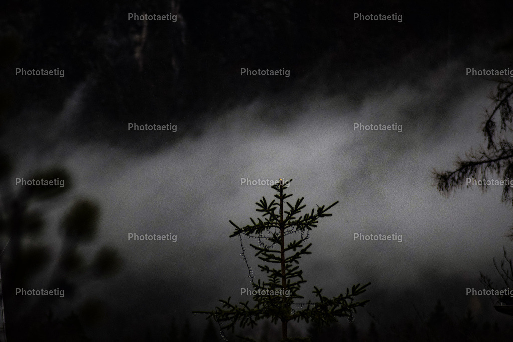 IMG_5292 | phototaetig