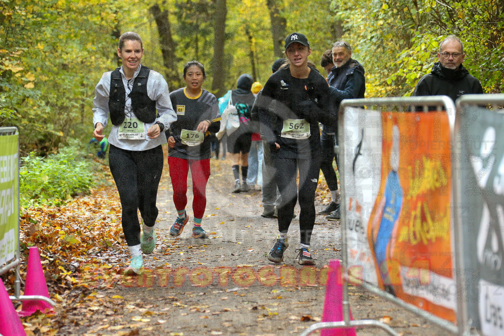 251026_1351_EX1_4001 | Sportfotografie im Rhein-Sieg Kreis, Köln, Bonn, NRW, Rheinland Pfalz, Hessen, etc. Unser Tätigkeitsfeld umfasst den Laufsport vom Volkslauf über den Marathon, Duathlon, Triathon bis zum Ultralauf wie Kölnpfad Ultra oder Schindertrail.