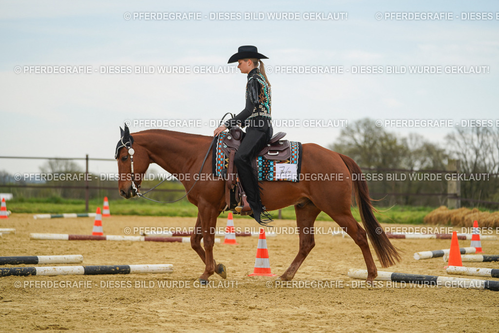 DSC02723 | Pferdegrafie