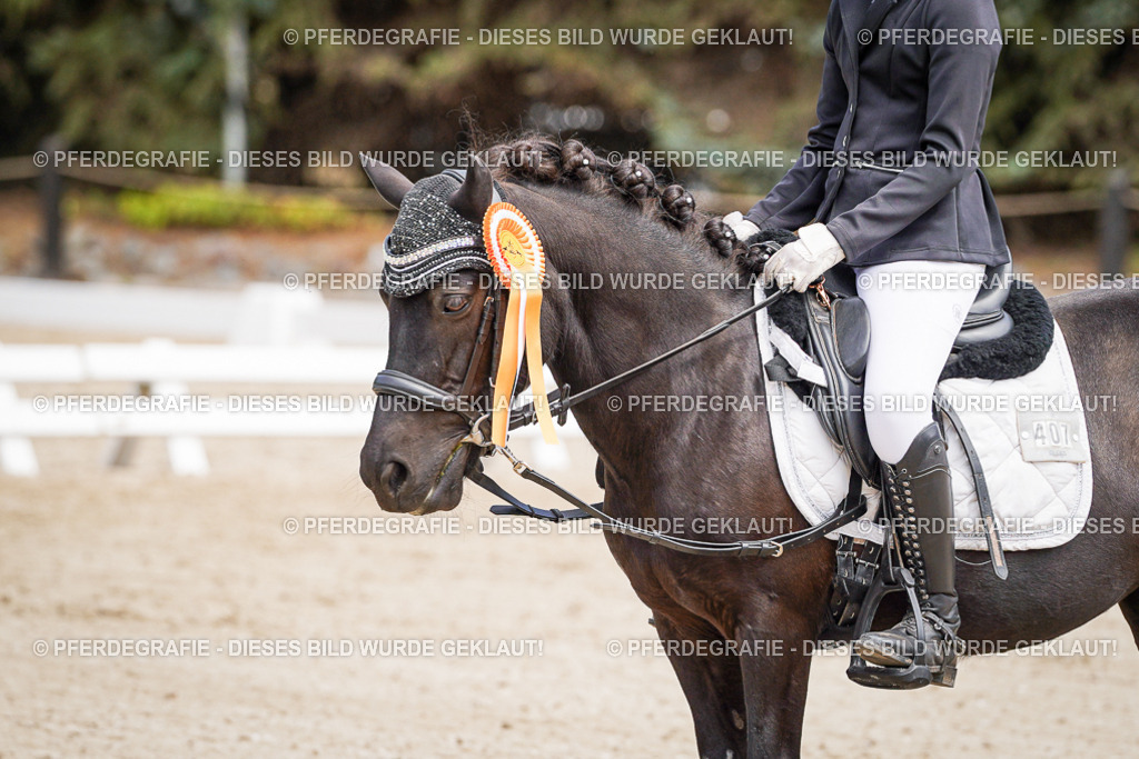 DSC02880 | Pferdegrafie