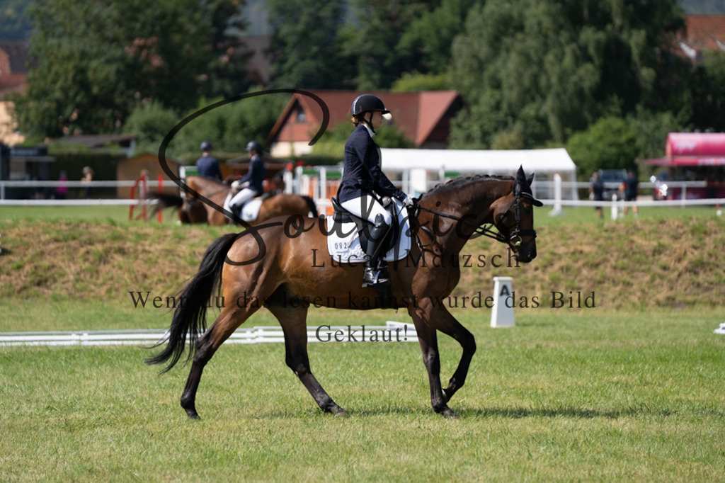 A7V09685 | Pferdefotograf