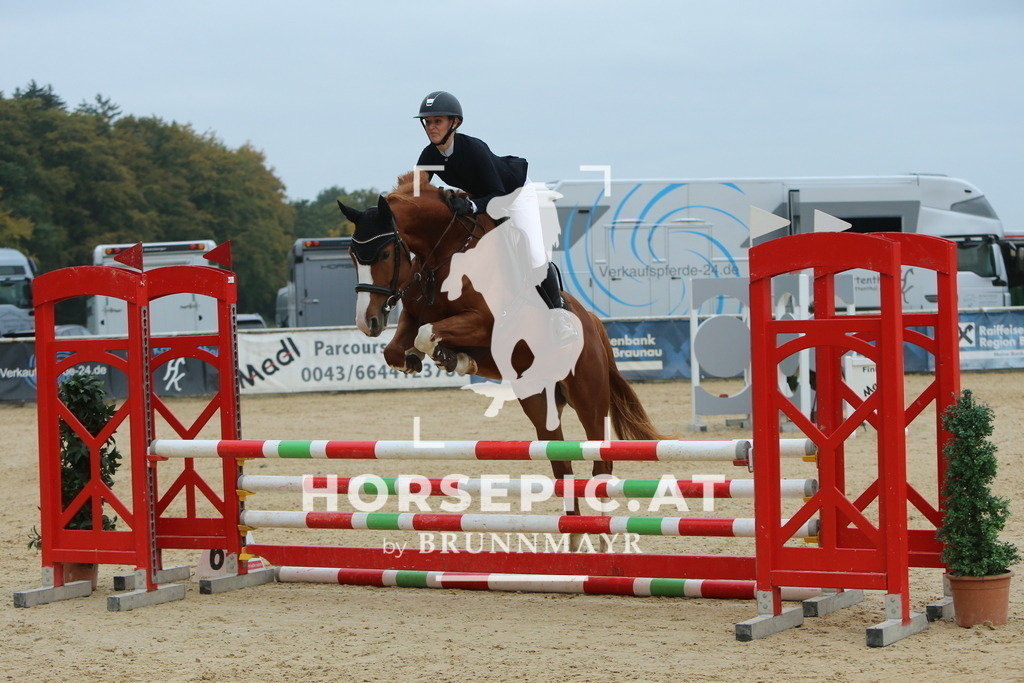 DL2Q4037 | Willkommen bei Brunnmayr - Design & Fotografie – Ihrem Spezialisten für Reitturniere und Pferdeveranstaltungen in Oberösterreich, Salzburg und Bayern! Seit über 17 Jahren sind wir leidenschaftlich dabei.