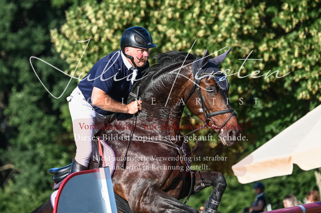 DSC_3003 | Pferde- und Turnierfotografie in Westsachsen. Pferdeportraits, Auftragszeichnungen und intuitive Kunst.