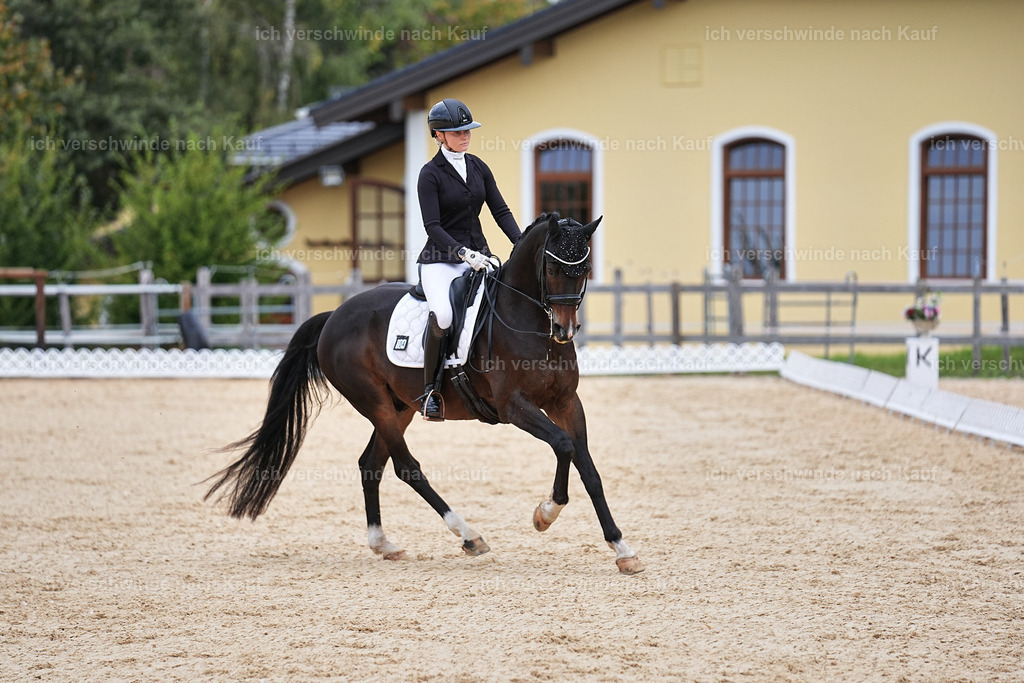 3-104-Dressur M_-Marixx-1959 | working equitationturnier fotograf videograf stoibphotography marixx film working equitation deutschland reitsport turnierfotografie eventfotografie equestrian events