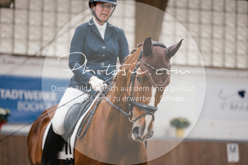 3I6A6194 | Stimmungsvolle Portraits und Reitsportfotografie im Ruhrgebiet und im Münsterland.

Pferdefotografie, Hundefotografie, Tierfotografie, Reportagen, Portraits von Tier und Mensch, Turnierfotografie in Bochum, Recklinghausen, Marl, Haltern am See, Dülmen.. - Realisiert mit Pictrs.com