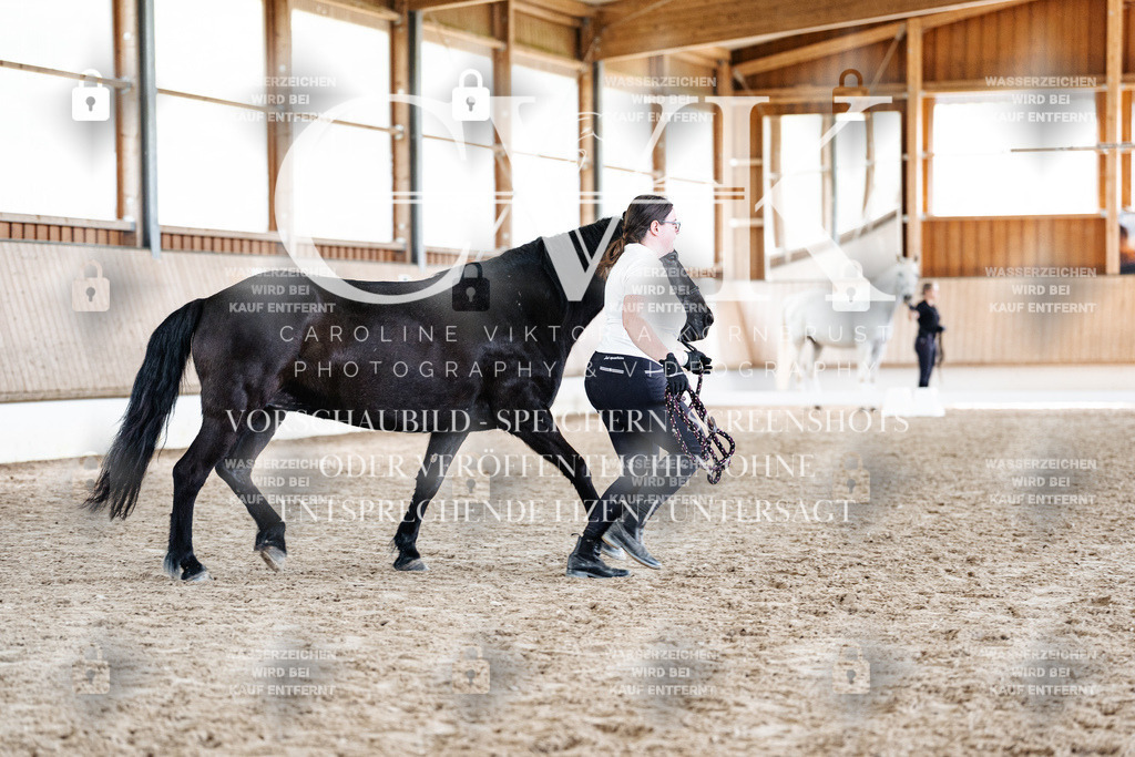 CK907950 | Turnierfotografie Pferdefotografie Trier Rheinland-Pfalz Pferdesport Reitsport Tierfotografie Sportfotografie Pferdevideo Pferdevideografie Equestrianvideography equestrianphotography  - Realisiert mit Pictrs.com