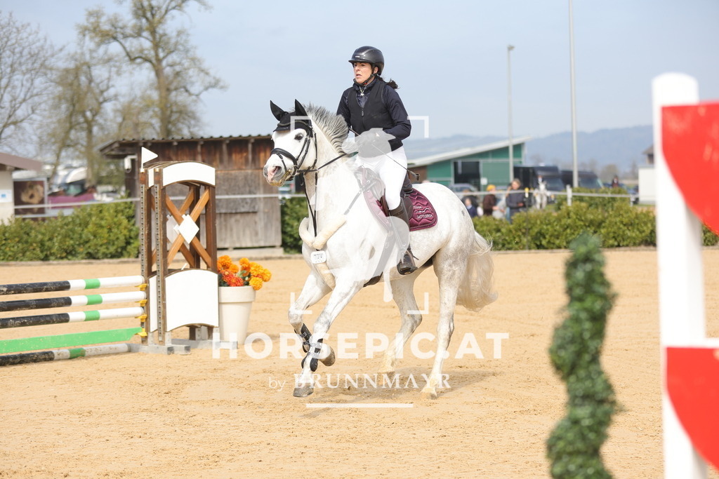 0P6A9396 | Willkommen bei Brunnmayr - Design & Fotografie – Ihrem Spezialisten für Reitturniere und Pferdeveranstaltungen in Oberösterreich, Salzburg und Bayern! Seit über 17 Jahren sind wir leidenschaftlich dabei.