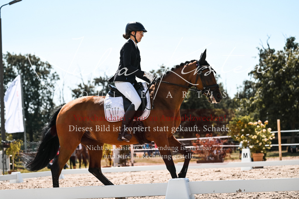 DSC_5497 | Pferde- und Turnierfotografie in Westsachsen. Pferdeportraits, Auftragszeichnungen und intuitive Kunst.