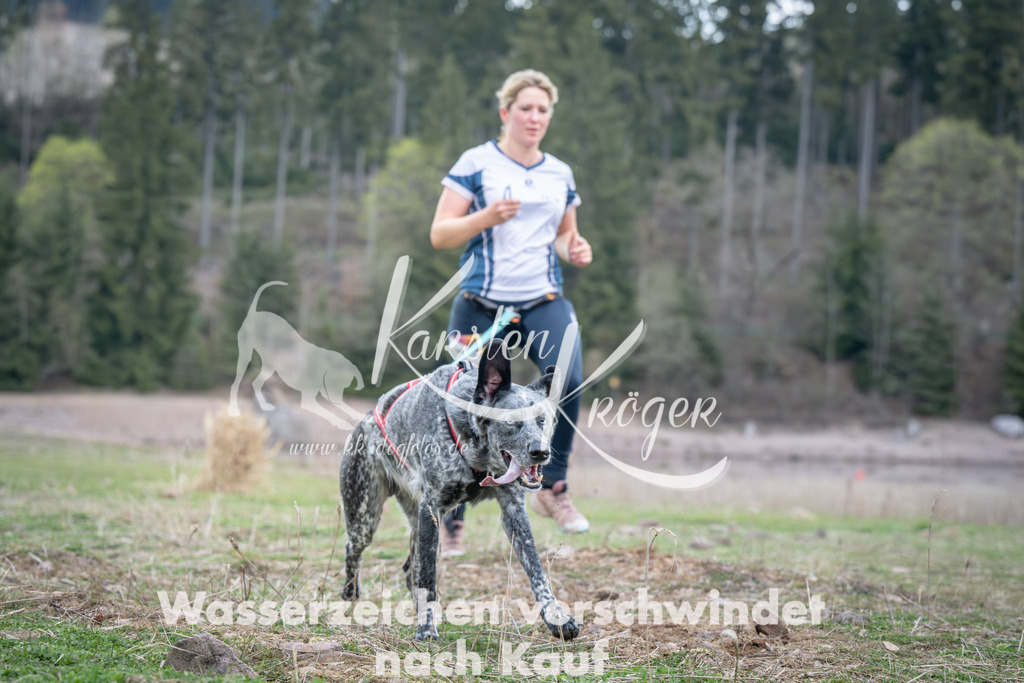 1813_ZZ94574 | kk-dogfotos