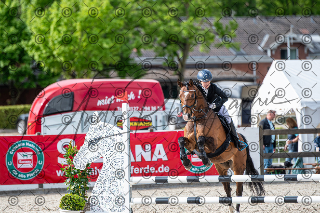 KPT_6718 | andre_photographic