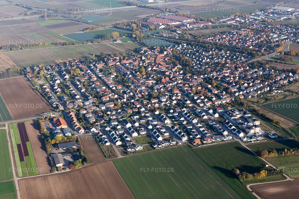 Luftbild: Ortsansicht der Straßen und Häuser der Wohngebiete im Ortsteil Schauernheim in Dannstadt-Schauernheim im Bundesland Rheinland-Pfalz in Deutschland. Foto: IMG_095571.jpg vom 30.10.2016 durch Werner Riehm/FLY-FOTO.de
