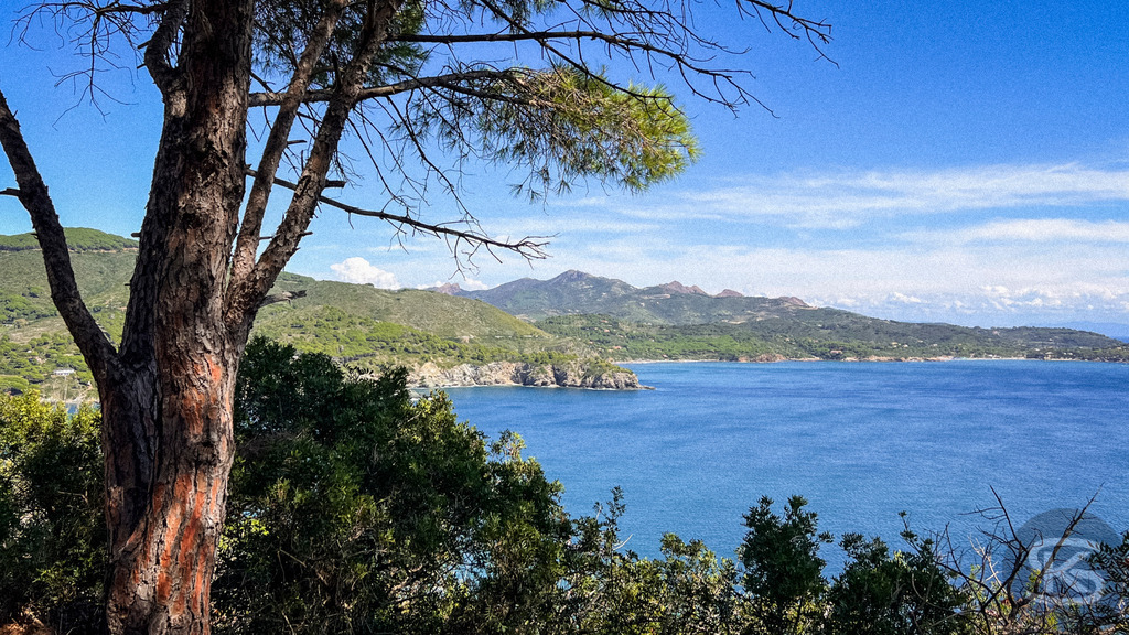 Wildes Elba: Panoramablick mit Pinien über die Küstenlandschaft auf das Mittelmeer – Wandbild | Panorama-Ausblick auf die hügelige Küstenlandschaft der Insel Elba mit typisch mediterraner Vegetation und Pinien im Vordergrund und dem weiten, blauen Meer unter sommerlichen Wolkenformationen. - Realisiert mit Pictrs.com