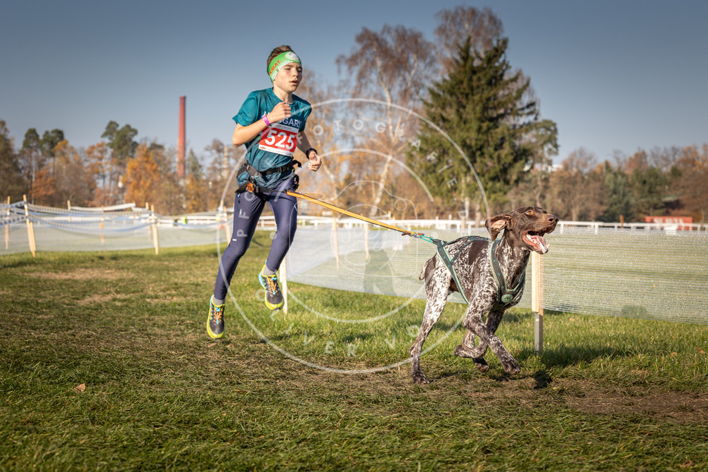 CaniXpix_0L8A8831 | Hundefotografie, Tierfotograf, Pfotenfotografie, Fotoshooting Hund, Hunde Portrait, Hundesport, Hundeportraits, Heideshooting, Hunde, Sportfotograf, Hundefotograf, Turnierhundsport, THS,  - Realisiert mit Pictrs.com