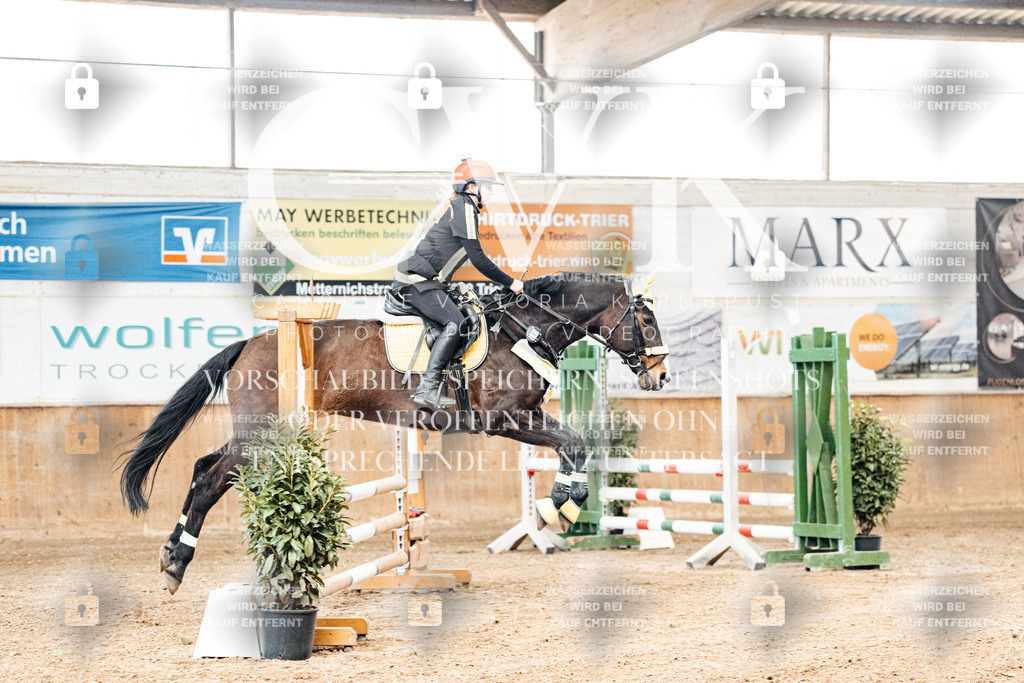 CK905389 | Turnierfotografie Pferdefotografie Trier Rheinland-Pfalz Pferdesport Reitsport Tierfotografie Sportfotografie Pferdevideo Pferdevideografie Equestrianvideography equestrianphotography  - Realized with Pictrs.com