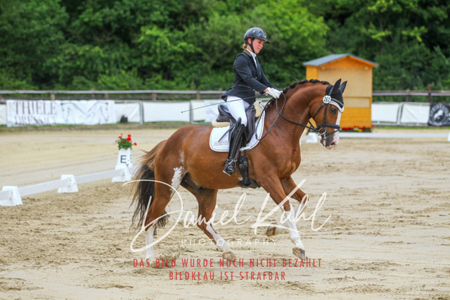 DKP46309 | Turniersportfotografie; Pferdefotografie; Dressurfotografie