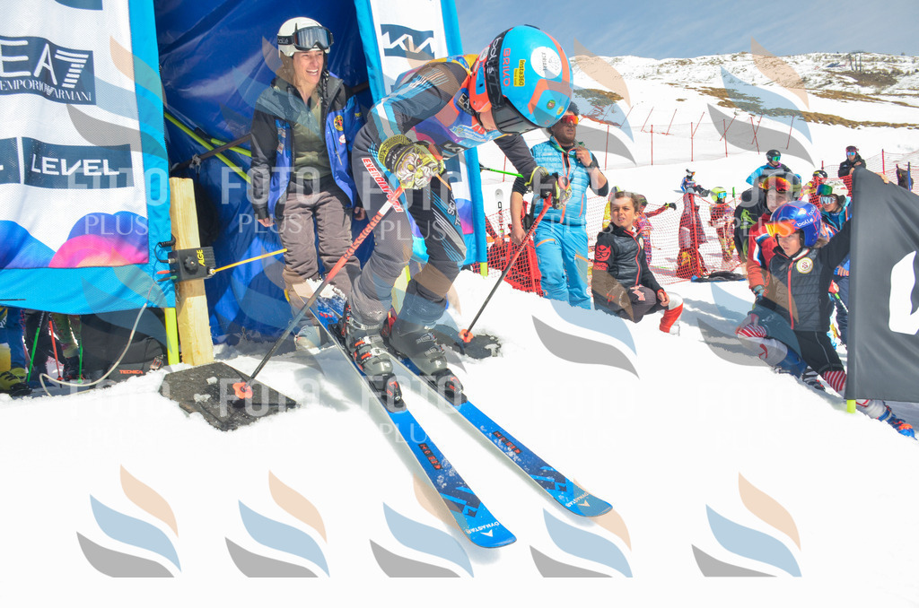 _ELE6404 | holidayphoto