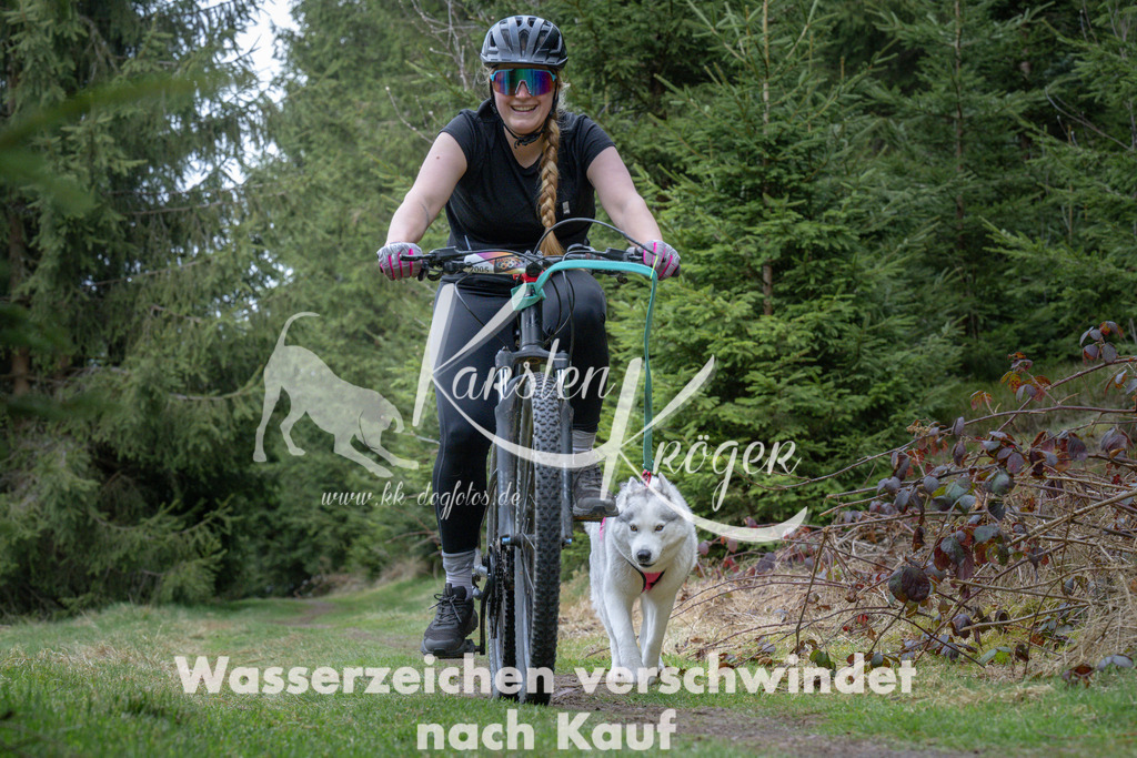 1317_ZZ94141 | kk-dogfotos